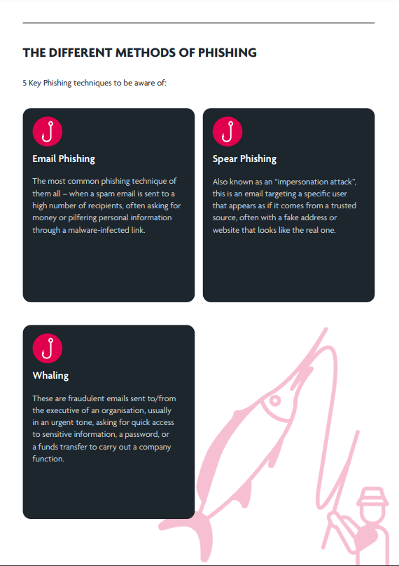 The Ultimate Phishing Guide - eBook